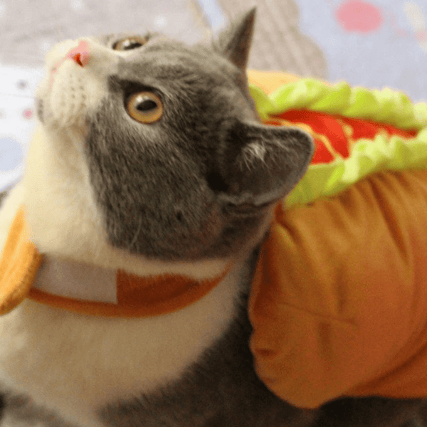 Gadget Gerbil Cat Hot Dog Costume