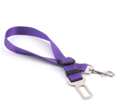 Gadget Gerbil 70cm / Purple Fixed Strap Polyester Dog Strap Dog Leash Dog Leash