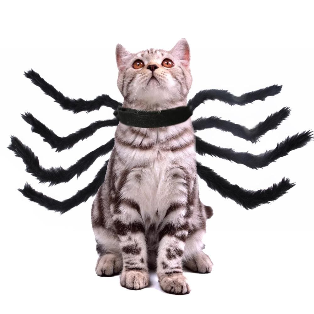 Gadget Gerbil Black / M Spider Cat Costume