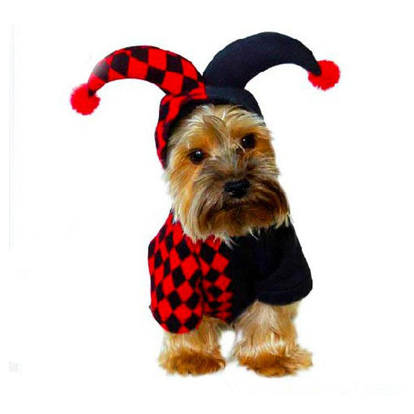 Gadget Gerbil Black red / L Black & Red Jester Dog Costume