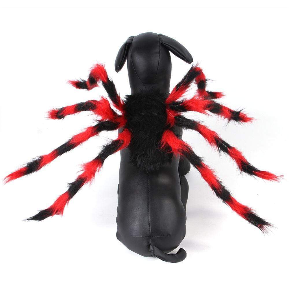 Gadget Gerbil Black Red / M Spider Cat Costume