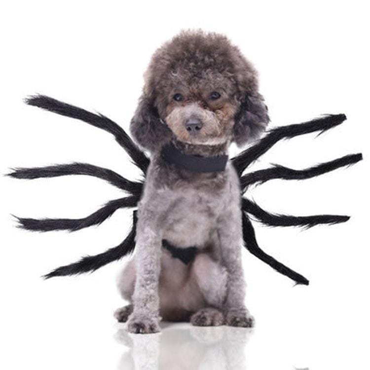 Gadget Gerbil Black Spider Dog Costume