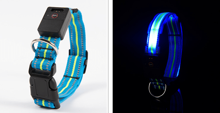 Gadget Gerbil Blue / M Waterproof LED Dog Collar