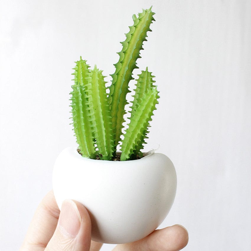 Gadget Gerbil Cactus Plant Pot Shaped Magnets