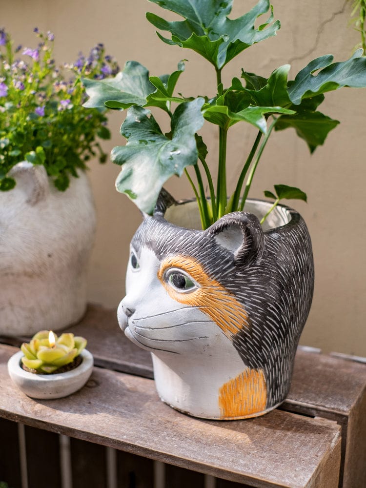 Gadget Gerbil Cat Head Succulent Flower Pot