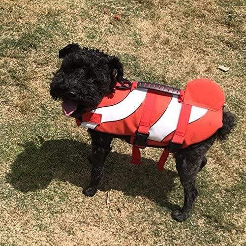 Gadget Gerbil Dog Clownfish Vest Fish