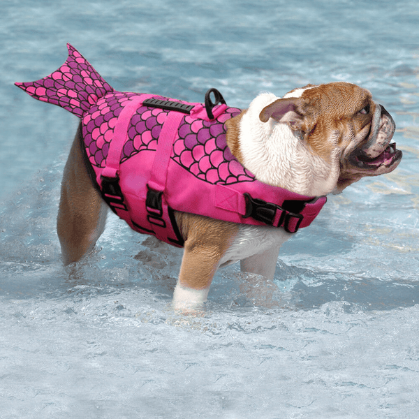 Gadget Gerbil Dog Mermaid Life Jacket