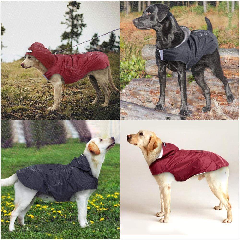 Gadget Gerbil Dog Raincoat With Hood