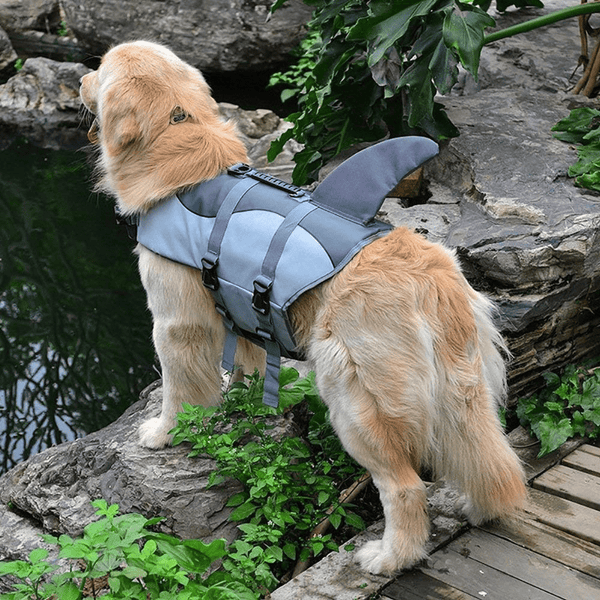 Gadget Gerbil Dog Shark Life Jacket