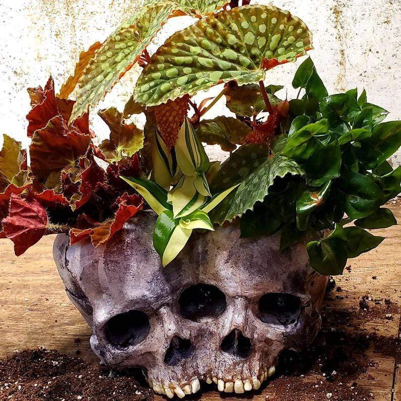 Gadget Gerbil Double Skull Head Flower Pot