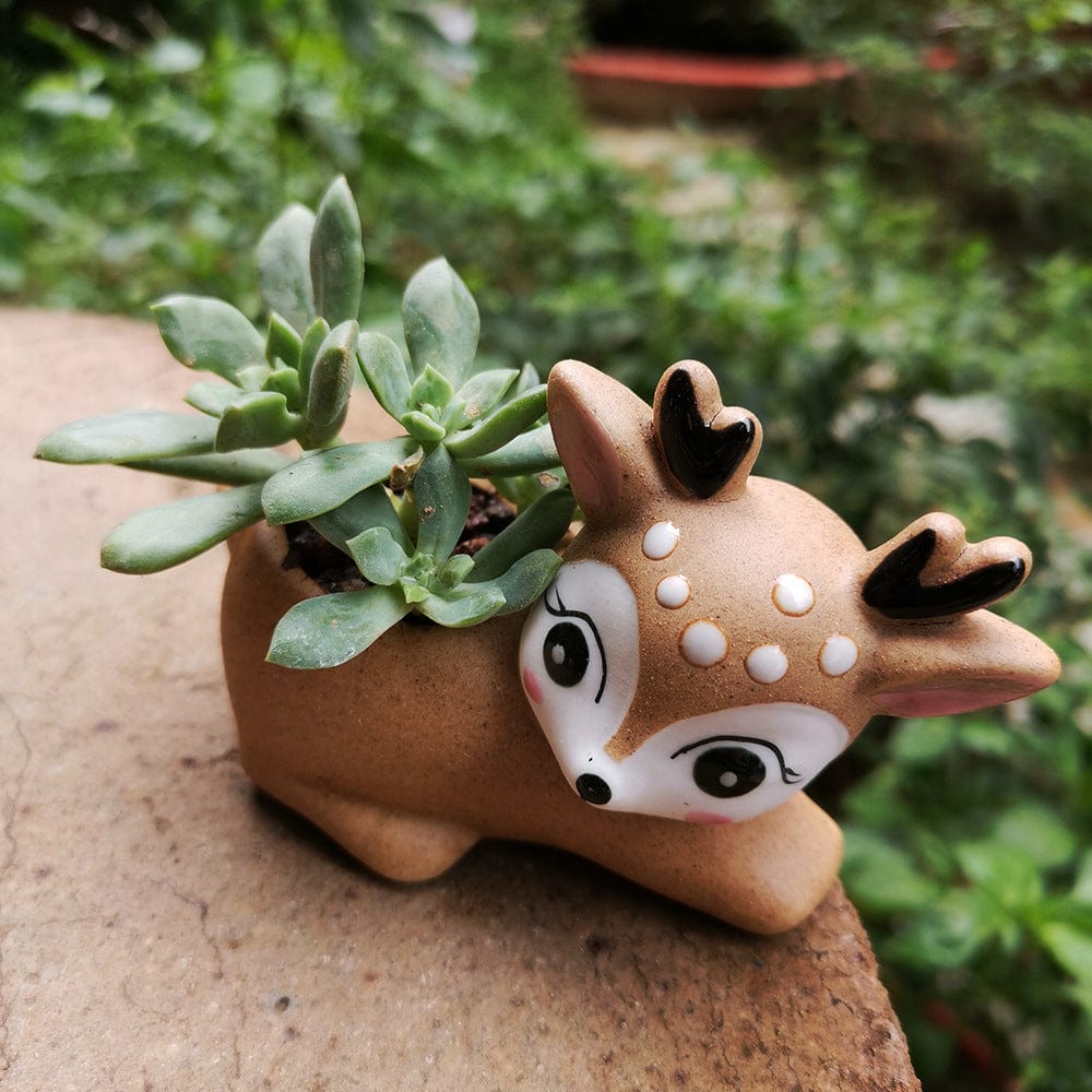 Gadget Gerbil Eyelashes Fawn Succulent Plant Flower pot