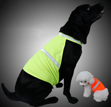 Gadget Gerbil Fluorescent Dog Safety Vest