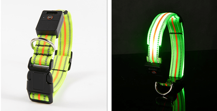 Gadget Gerbil Green / S Waterproof LED Dog Collar