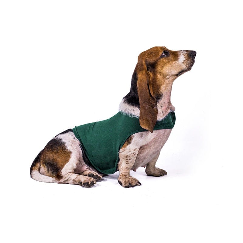 Gadget Gerbil Lake green / XS Dog Anxiety Calming Strap Jacket