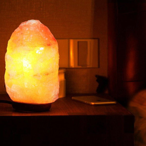 Gadget Gerbil Large Himalayan Salt Lamp