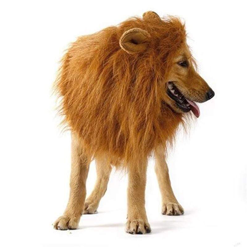 Gadget Gerbil Large Lion's Mane For Dog's