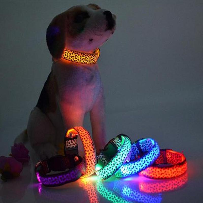 Gadget Gerbil Leopard Print LED Dog Collar