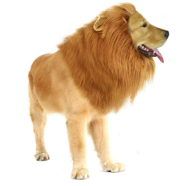 Gadget Gerbil Lion Mane Dog Costume