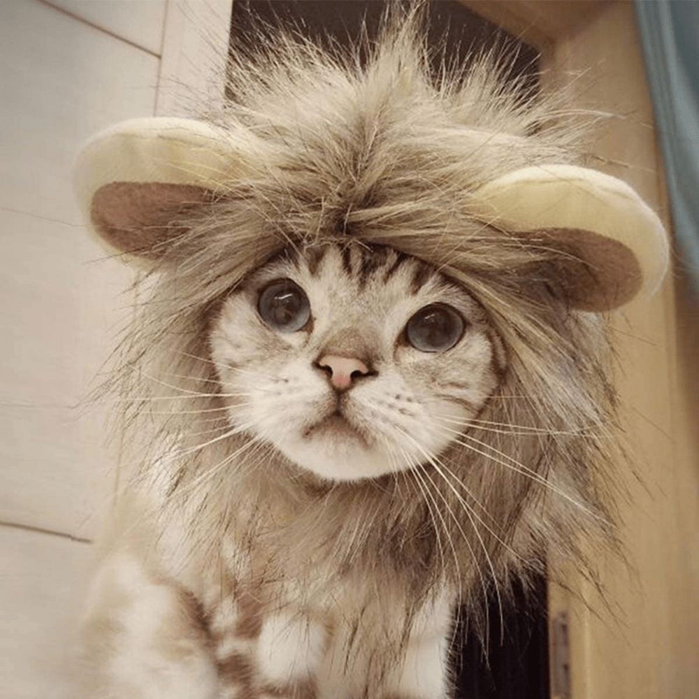 Gadget Gerbil Lion's Mane Cat Costume