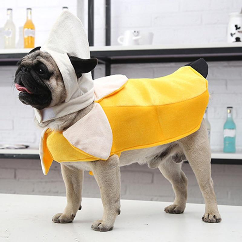 Gadget Gerbil M Banana Dog Costume