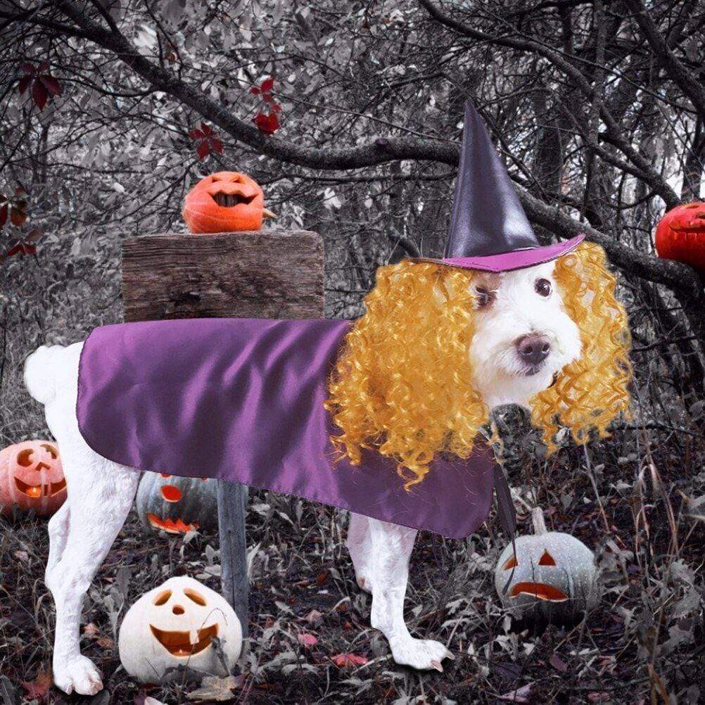 Gadget Gerbil Orange Hair Purple Witch Dog Costume