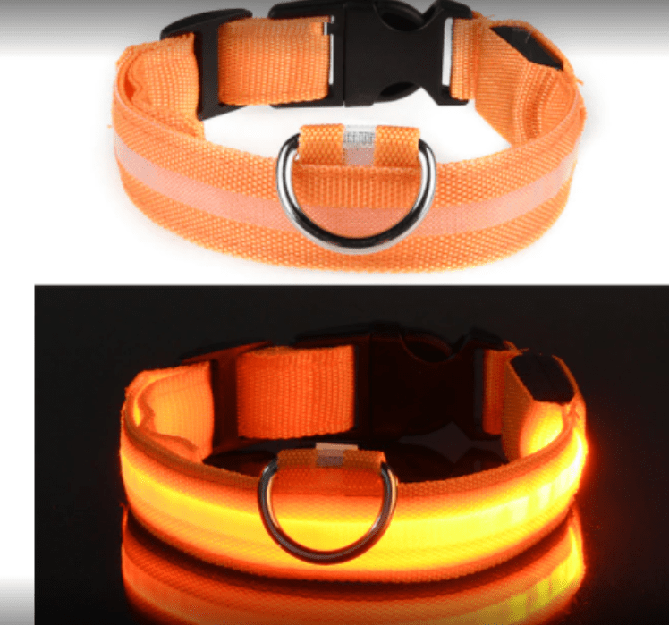 Gadget Gerbil Orange / M Waterproof LED Dog Collar