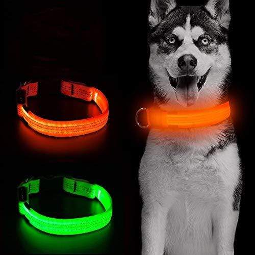 Gadget Gerbil Orange / S Waterproof LED Dog Collar