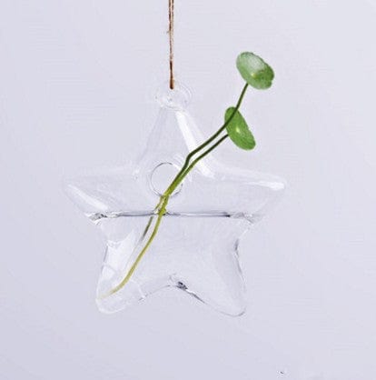 Gadget Gerbil Pentagram Hanging Star Shaped Flower Vase