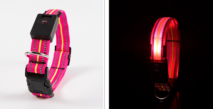 Gadget Gerbil Pink / S Waterproof LED Dog Collar