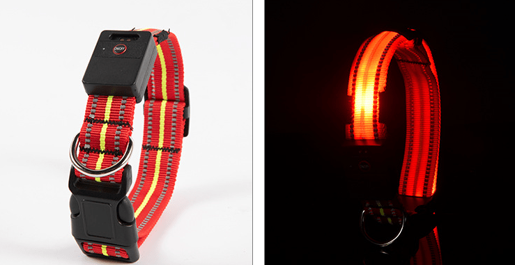 Gadget Gerbil Red / L Waterproof LED Dog Collar