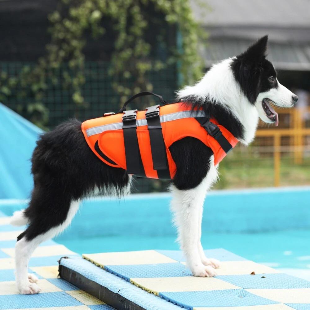 Gadget Gerbil Reflective Dog Life Jacket