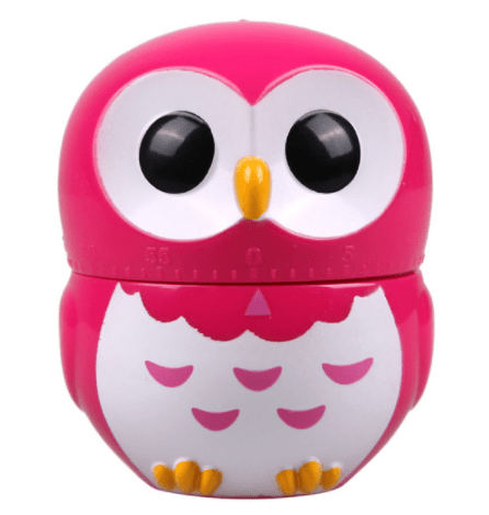 Gadget Gerbil Rose red Owl 60 Minute Kitchen Timer