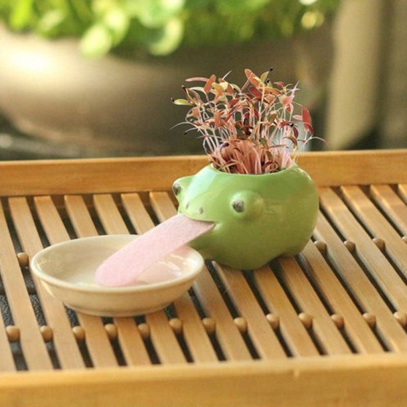 Gadget Gerbil Self Watering Frog Planter