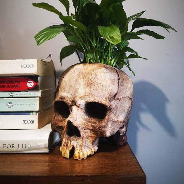 Gadget Gerbil Skull Head Flower Pot