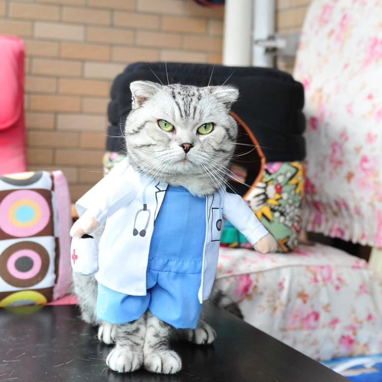 Gadget Gerbil Small Doctor Cat Costume
