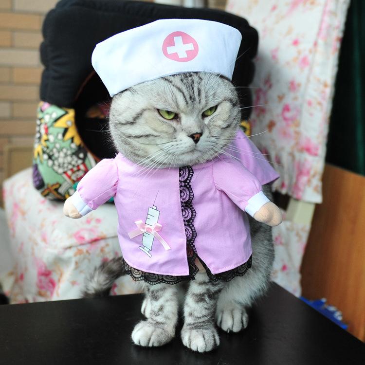 Gadget Gerbil Small Nurse Cat Costume