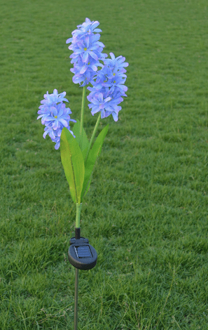 Gadget Gerbil Solar Powered LED Hyacinth Light