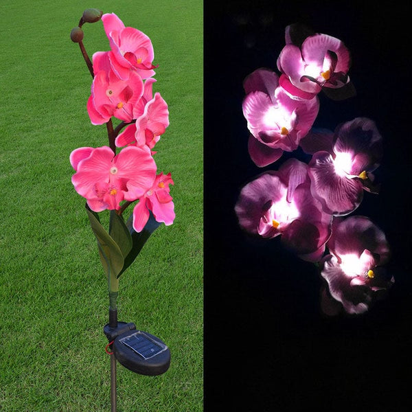Gadget Gerbil Solar Powered LED Moth Orchid Lights