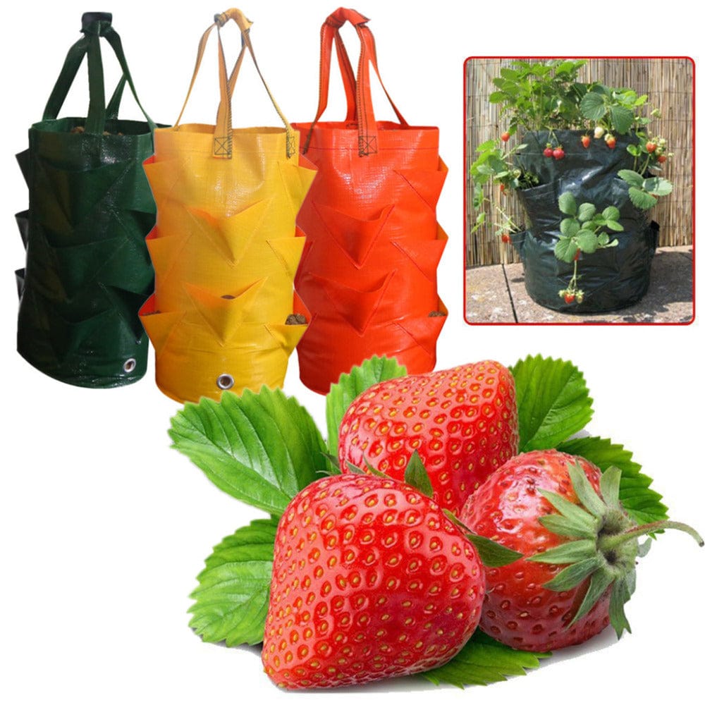 Gadget Gerbil Strawberry Growing Bag