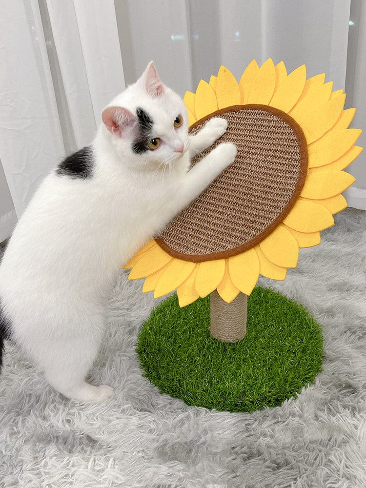 Gadget Gerbil Sunflower Cat Scratching Post