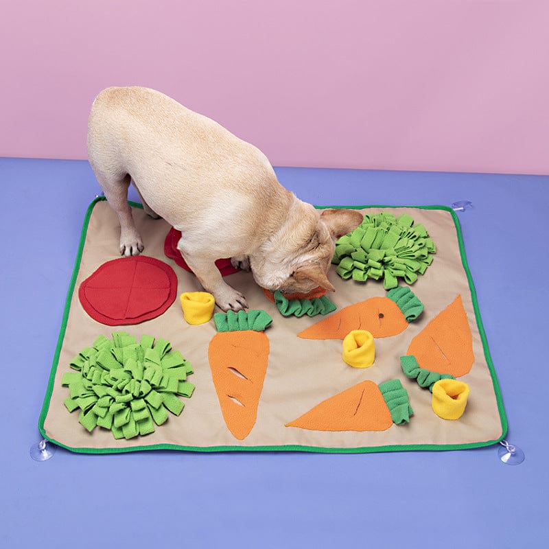 Gadget Gerbil Vegetable Pet Sniffing Mat