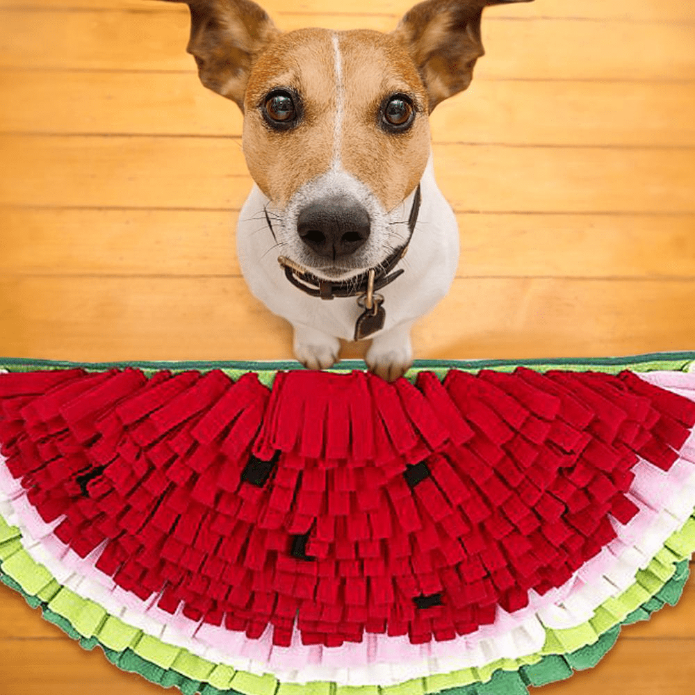 Gadget Gerbil Watermelon Shaped Dog Snuffle Mat