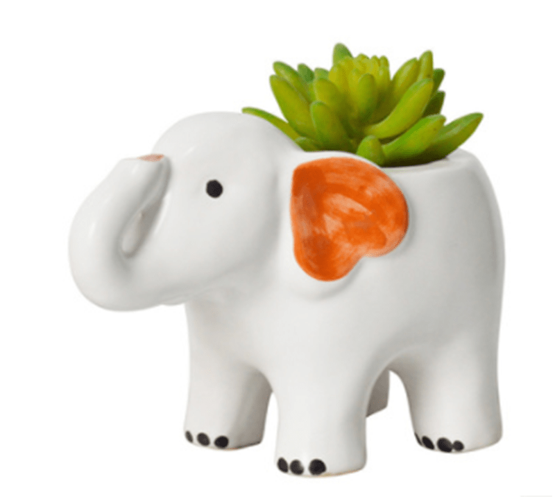 Gadget Gerbil White Elephant Shaped Succulent Plant Pot