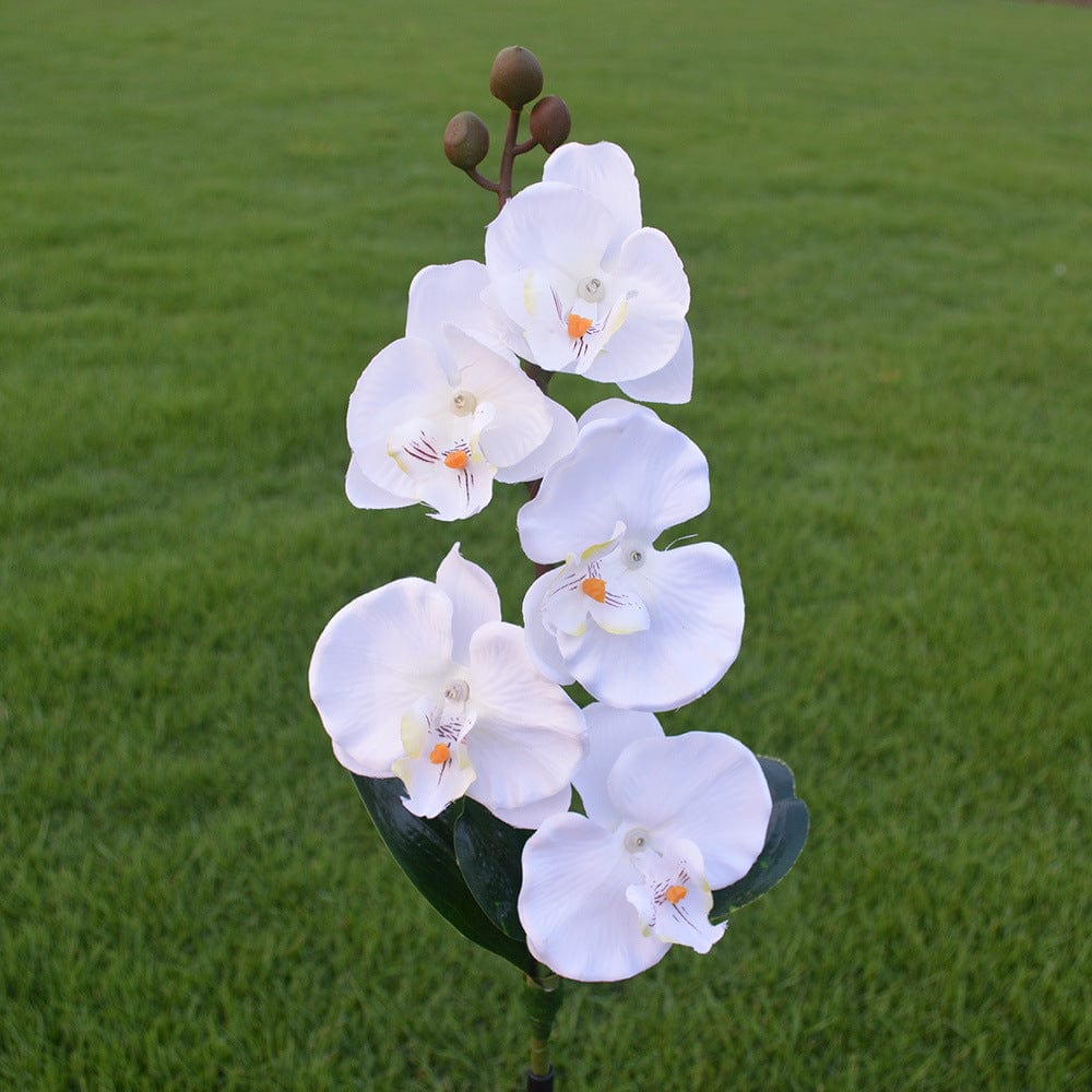 Gadget Gerbil White Solar Powered LED Moth Orchid Lights