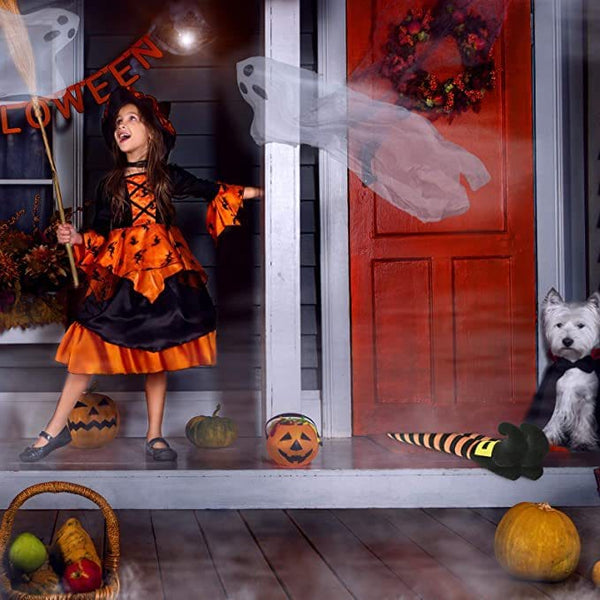 Gadget Gerbil Witch Legs Halloween Decoration