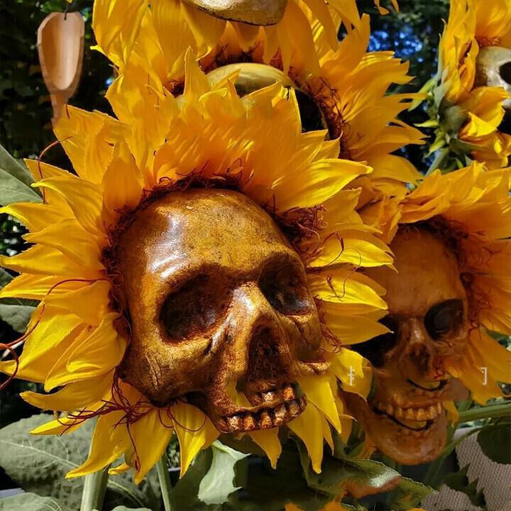 Gadget Gerbil Without Jaw Sunflower Skull Decoration