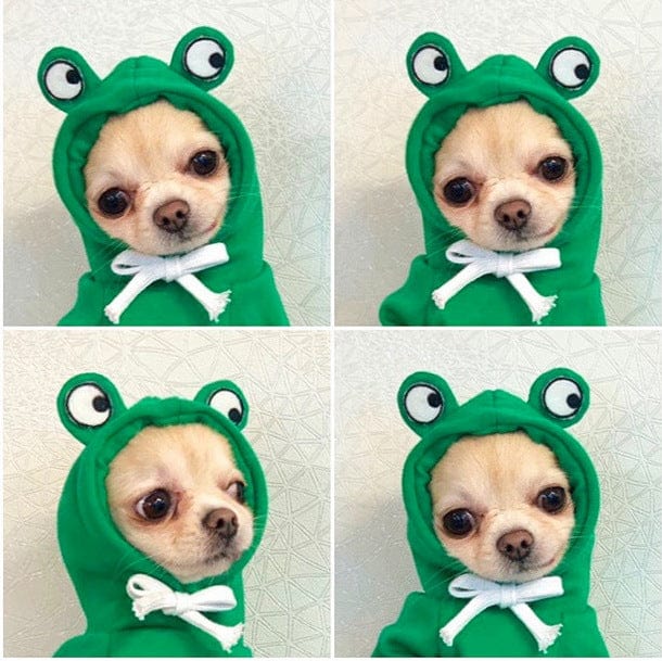 Gadget Gerbil XS Frog Dog Hoodie