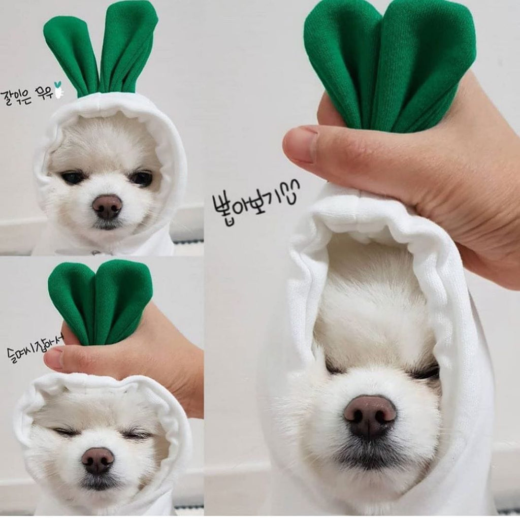 Gadget Gerbil XS Turnips Dog Hoodie